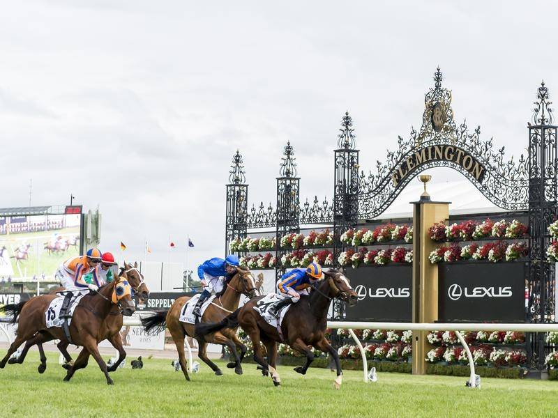 melbourne-cup-chauffeur-service